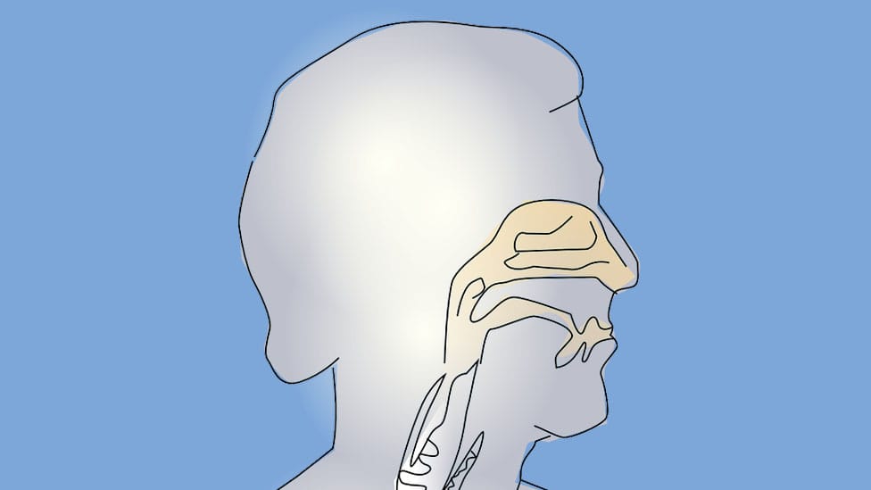 Learn how to breathe correctly with your nose.